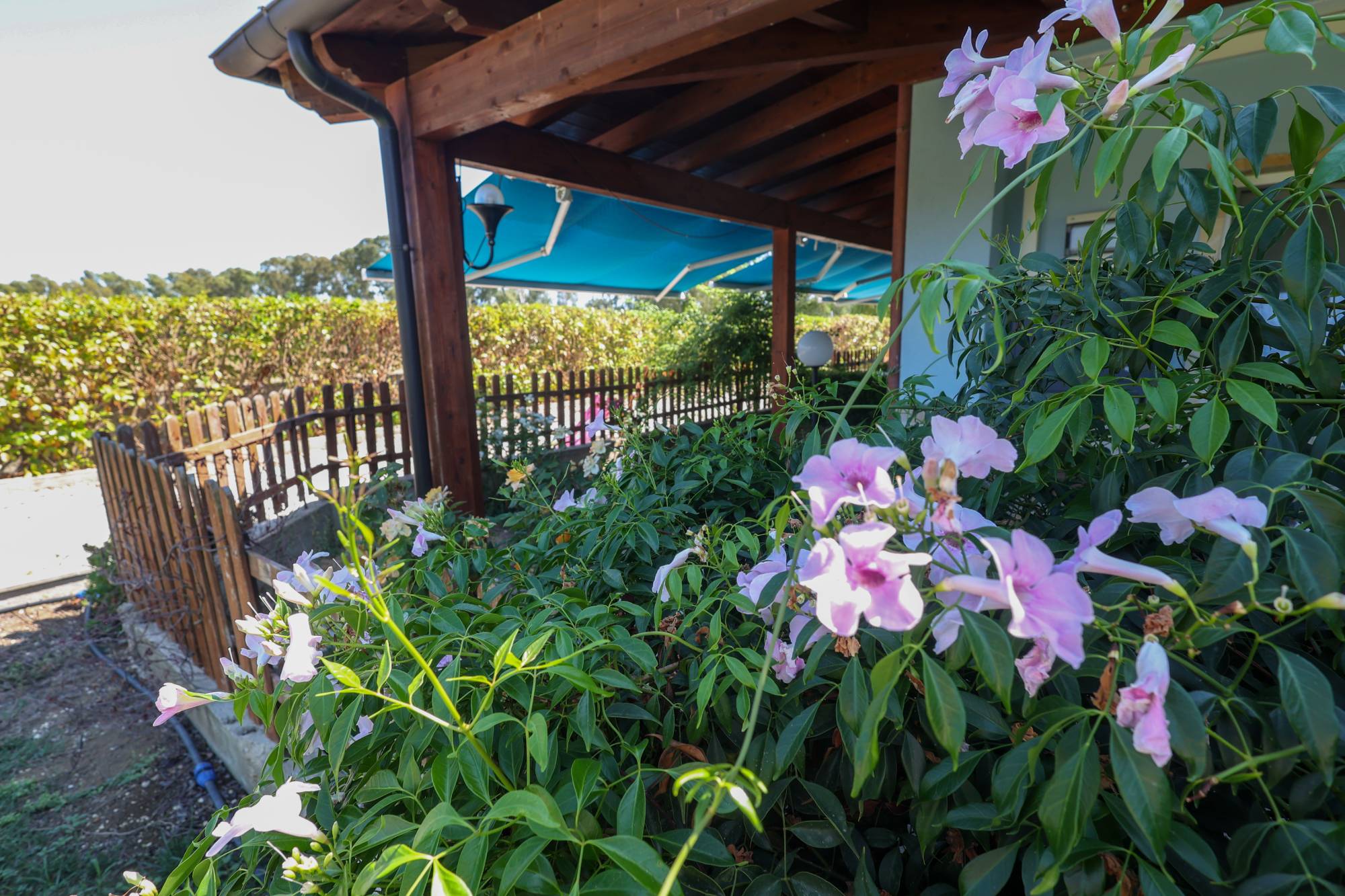 Mabell Guest House Civitavecchia